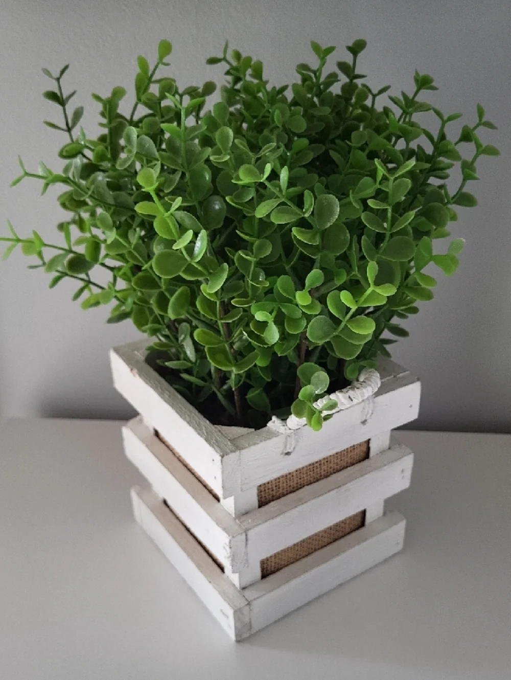 Green Faux Boxwood Plant in White Wooden Crate